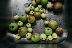 apples-7705