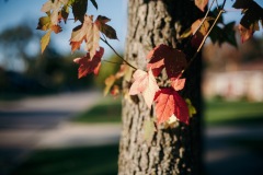 20191012-IMG_6567-copy