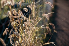 20191012-IMG_6570-copy