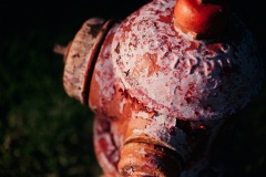 20191012-IMG_6574-copy