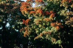 20191012-IMG_6587-copy