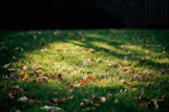 20201009-IMG_7882-copy