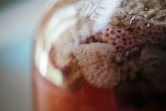 20200520-IMG_7412-copy