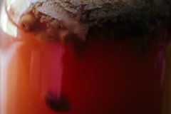 20200520-IMG_7418-copy