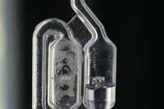 20200520-IMG_7423-copy