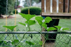 20200721-IMG_7686-copy