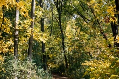 20201011-IMG_8765-copy