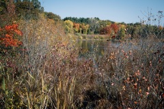 20201011-IMG_8774-copy