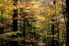 20201011-IMG_8782-copy