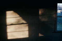 20201129-IMG_8083-copy