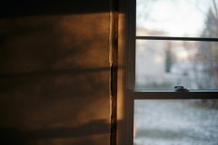 20201202-IMG_8086-copy