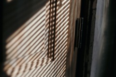 20201202-IMG_8089-copy