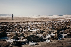 20210227-IMG_8152-copy