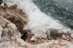 20210227-IMG_8176-copy