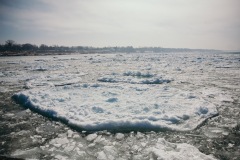 20210227-IMG_8190-copy