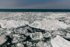 20210227-IMG_8204-copy