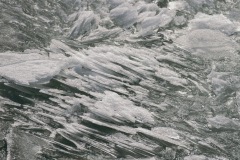 20210227-IMG_8209-copy