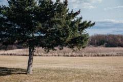 20210322-IMG_8275-copy