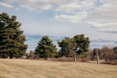 20210322-IMG_8276-copy