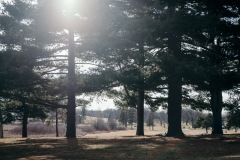 20210322-IMG_8283-copy