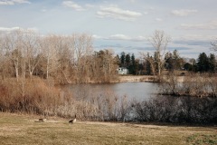 20210322-IMG_8290-copy