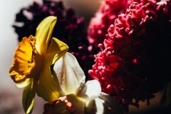 20200421-IMG_7066-copy