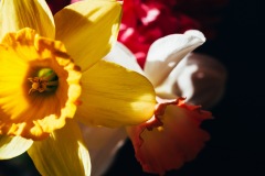 20200421-IMG_7073-copy