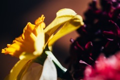 20200421-IMG_7080-copy