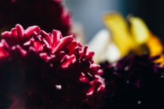 20200421-IMG_7086-copy