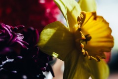 20200421-IMG_7095-copy