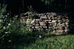 20200628-IMG_8433-copy