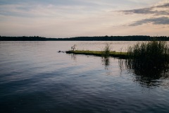 20200703-IMG_8669-copy