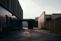 20200325-IMG_6868-copy