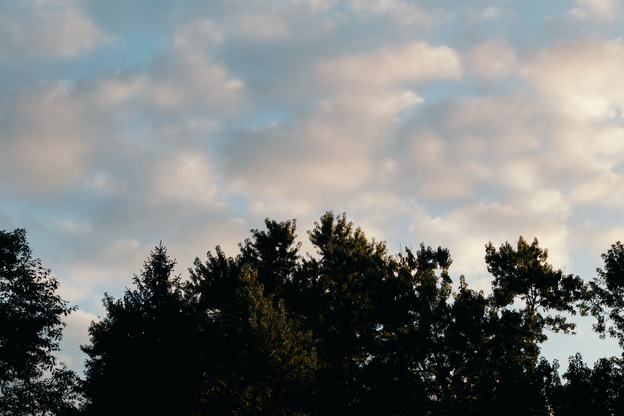 Viltrox 56mm f/1.4 on Canon EOS M