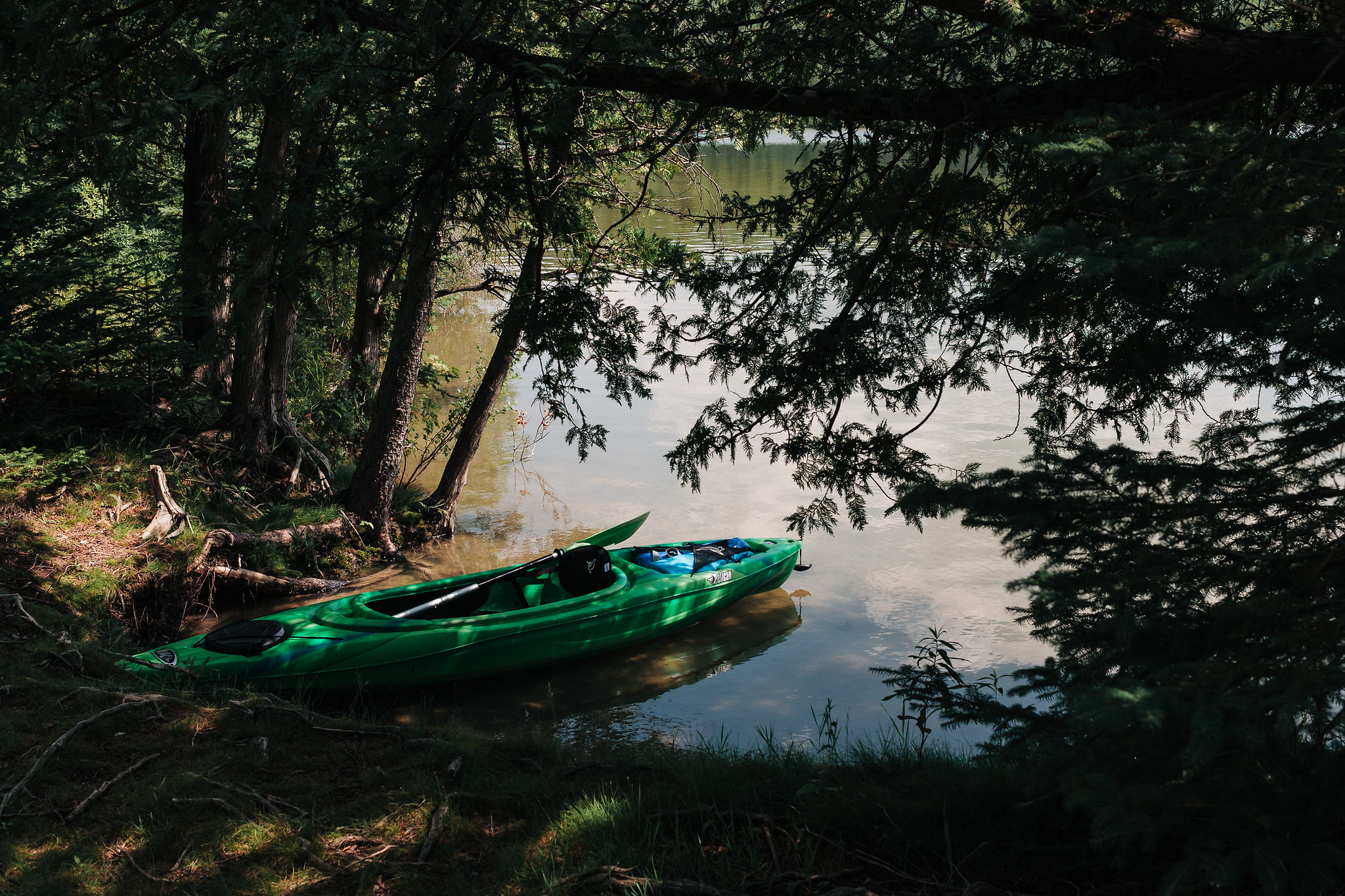 Rifle River - Hale, Michigan